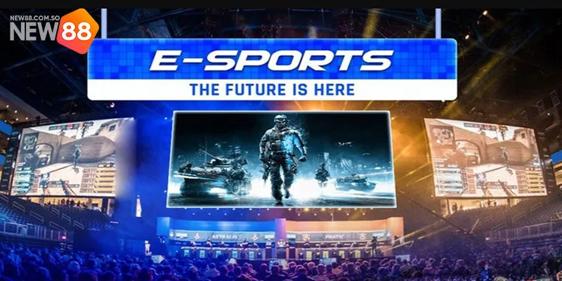 S-Sports - Sảnh Cược Thể Thao Hàng Đầu Tại Nhà Cái New88