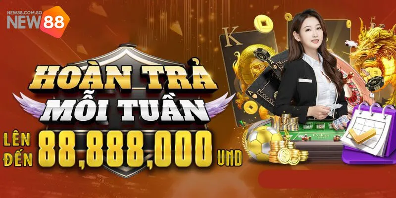 Hoàn nạp thành viên mới