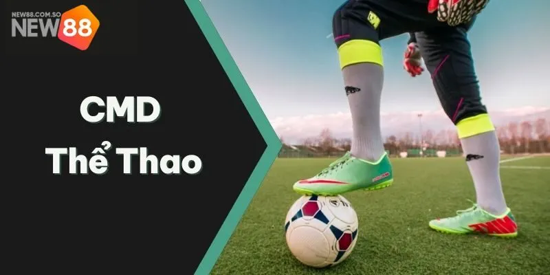 Ưu đãi hấp dẫn dành cho người chơi khi tham gia cá cược tại sảnh CMD thể thao